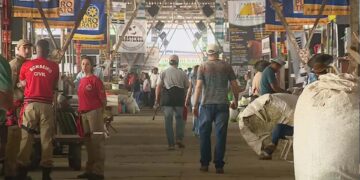 Expointer recebe 154 mil pessoas no primeiro fim de semana