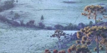 Após registrar 30°C no sábado, RS tem chance de neve e temperatura próxima a 0°C na semana