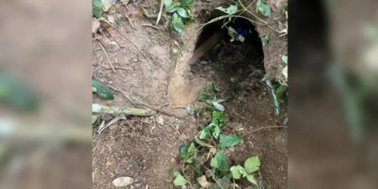 Homem vai caçar tatu, fica preso em toca