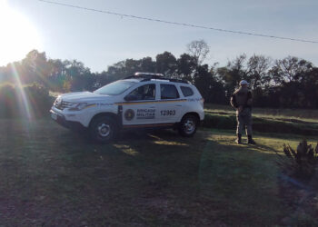 Homem registra ocorrência após gado do seu vizinho invadir sua plantação de cebola no interior de Nova Roma do Sul