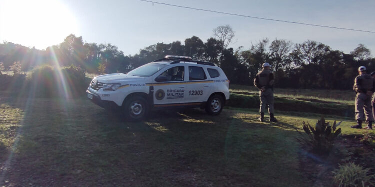 Homem registra ocorrência após gado do seu vizinho invadir sua plantação de cebola no interior de Nova Roma do Sul