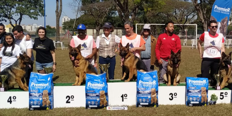 Cadela Honda do Morada de Carvalhos de Nova Roma do Sul vence o Siergershau do Brasil 2022 em Campinas-SP
