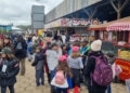 Curiosidade e novidade animam estudantes que visitam a Expointer 2022