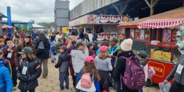 Curiosidade e novidade animam estudantes que visitam a Expointer 2022