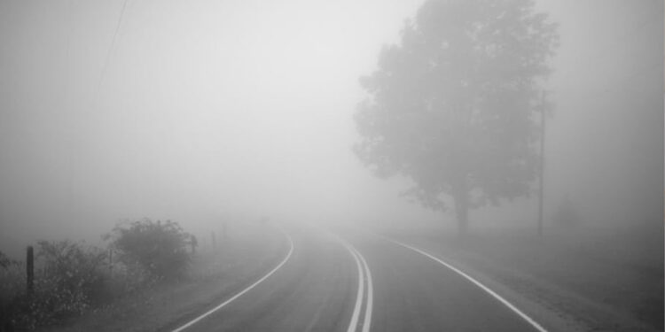 RS tem amanhecer com nevoeiro e tarde será de sol nesta segunda-feira