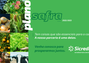 Sicredi disponibiliza R$ 50,6 bilhões para safra 2022/2023