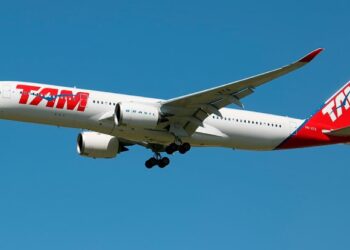 Operadora TAM terá de indenizar dono de canil por morte de animal em avião