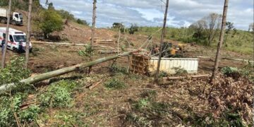 Homem morre após ser atingido por árvore em Campestre da Serra