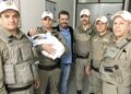 Brigadiano de folga resgata bebê sequestrado em Novo Hamburgo