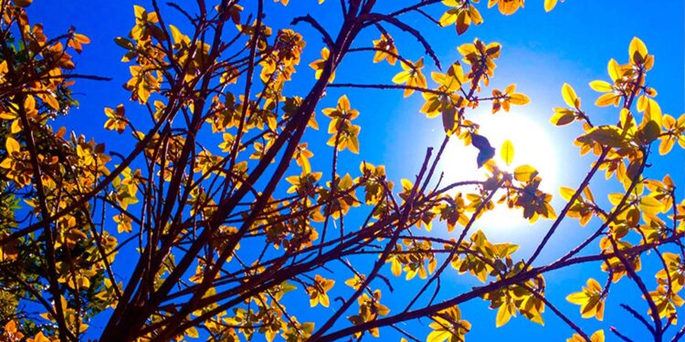 Domingo tem amanhecer frio, mas sol predomina e tarde será agradável em todo o RS