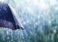 RIO GRANDE DO SUL TERÁ CHUVA E VENTO NO FIM DE SEMANA