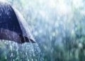 RIO GRANDE DO SUL TERÁ CHUVA E VENTO NO FIM DE SEMANA