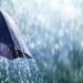 RIO GRANDE DO SUL TERÁ CHUVA E VENTO NO FIM DE SEMANA