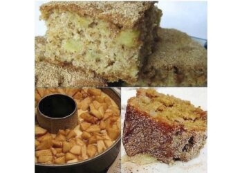 BOLO DE MAÇÃ COM CANELA