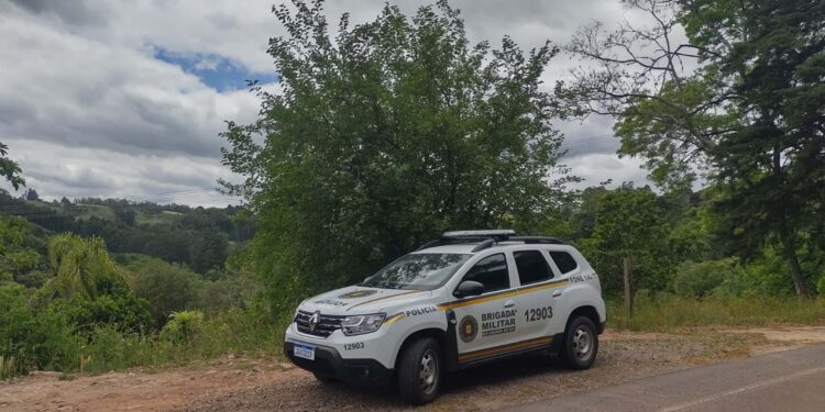 Cerca é cortada e vacas invadem plantação de cebola em Nova Roma do Sul