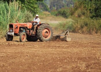 SOS Estiagem de R$ 1 mil começa a ser pago agricultores do RS nesta quarta