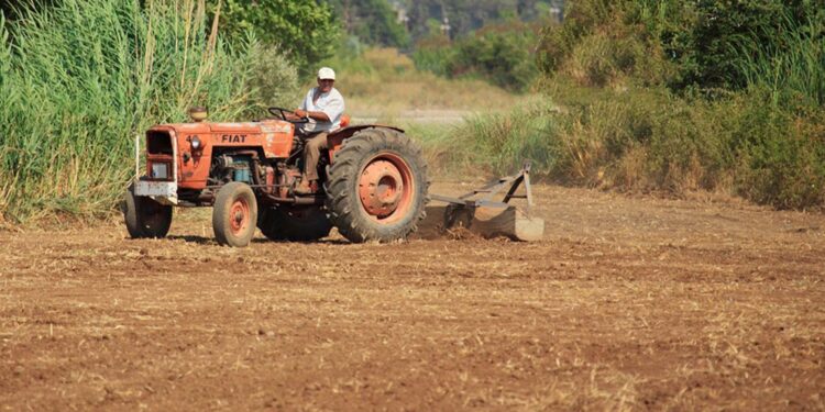 SOS Estiagem de R$ 1 mil começa a ser pago agricultores do RS nesta quarta