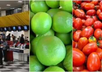 Tomate, cebola, passagem aérea estão entre as maiores altas em outubro