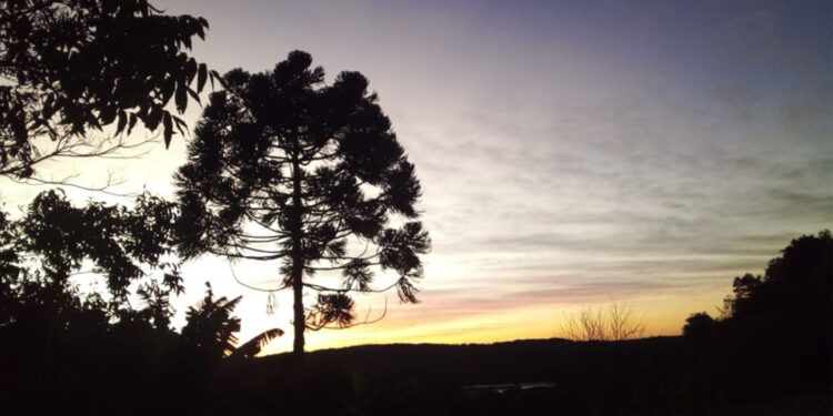 Sol predomina nesta quarta-feira no RS