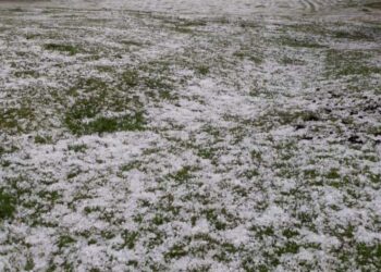 GRANIZO CAUSA ESTRAGOS EM PROPRIEDADES DA REGIÃO IPÊ E VACARIA