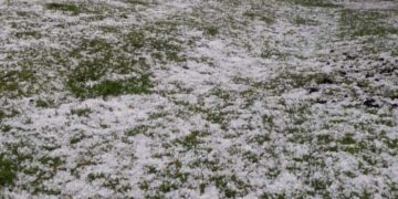 GRANIZO CAUSA ESTRAGOS EM PROPRIEDADES DA REGIÃO IPÊ E VACARIA