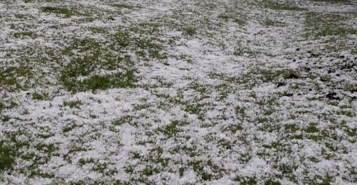 GRANIZO CAUSA ESTRAGOS EM PROPRIEDADES DA REGIÃO IPÊ E VACARIA