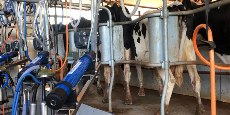 Produção de trigo, soja e arroz cresce no RS, mas cadeia do leite tem 2022 difícil, aponta Farsul