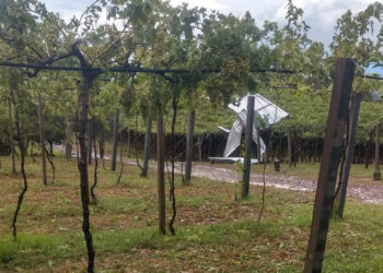 Chuva de granizo causa vários estragos em parreirais no interior de Nova Roma do Sul