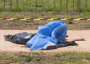 Cabeça humana é encontrada dentro de mochila em Porto Alegre