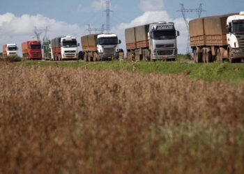 Preço do frete de grãos apresenta aumento em todos os estados
