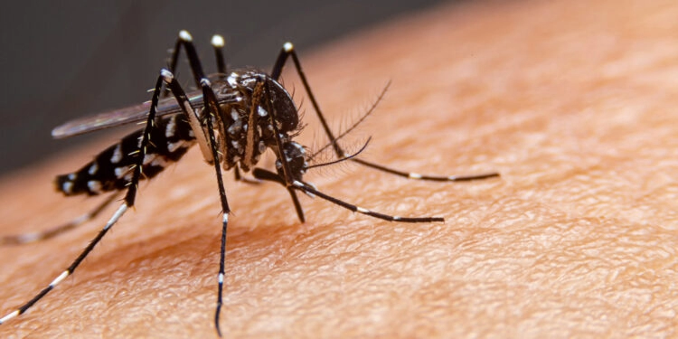 RS apresenta mais casos suspeitos de dengue do que o esperado para a época do ano