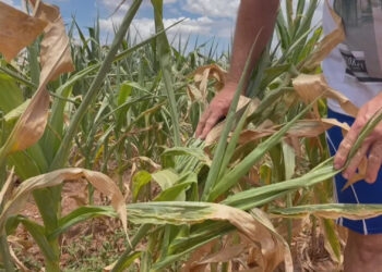 Tupanciretã emite 1º decreto emergência da temporada no RS