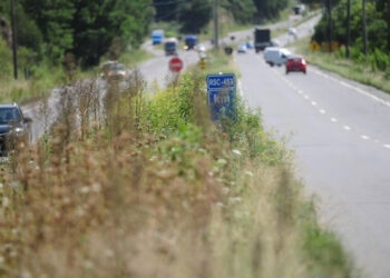 Matagal às margens da ERS-122, prejudica visibilidade de motoristas e pedestres em Caxias do Sul