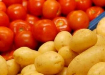 Futuro do tratamento contra o câncer pode estar no tomate e na batata; entenda