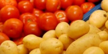 Futuro do tratamento contra o câncer pode estar no tomate e na batata; entenda