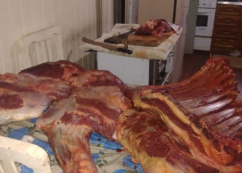 Dupla é presa por abate clandestino de animais e realizar comércio ilegal de carnes em Jaquirana