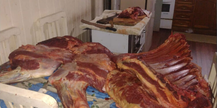 Dupla é presa por abate clandestino de animais e realizar comércio ilegal de carnes em Jaquirana