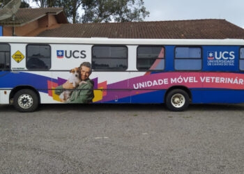 Ação para castração de animais ocorre em Antônio Prado