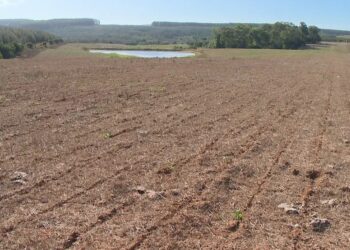 Níveis de rios do RS estão em quadro crítico, de alerta ou atenção, diz Sema