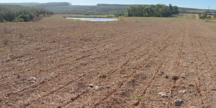 Níveis de rios do RS estão em quadro crítico, de alerta ou atenção, diz Sema