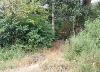 Jovem é morto a tiros no bairro Monte Pasqual, em Farroupilha