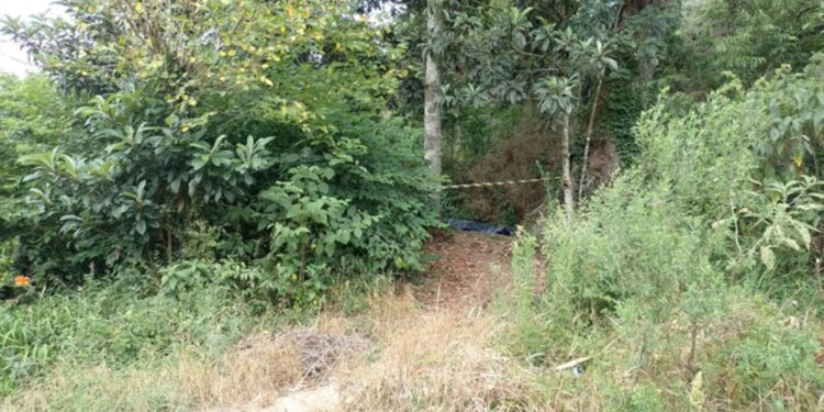 Jovem é morto a tiros no bairro Monte Pasqual, em Farroupilha