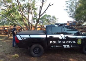 Polícia apreende mais de 200 bovinos após golpe do falso depósito em Itaqui