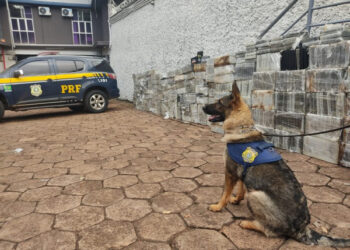 PRF faz a maior apreensão única de cocaína da sua história