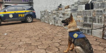 PRF faz a maior apreensão única de cocaína da sua história