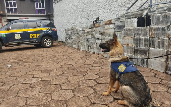 PRF faz a maior apreensão única de cocaína da sua história