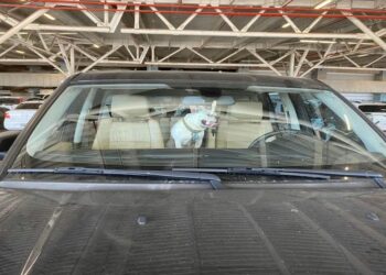 Torcedor é detido após deixar cachorro trancado em veículo para ver partida de futebol em Porto Alegre