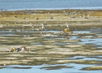 Estiagem: mais 18 cidades gaúchas têm reconhecimento de situação de emergência pelo governo federal