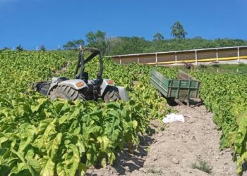 Idoso morre esmagado por trator que conduzia em Progresso, diz polícia