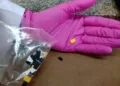 Droga semelhante a LSD é detectada pela primeira vez por perícia do RS, diz IGP